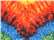 Unisex Multi-Color Tie-Dyed T-Shirt - 1000 240