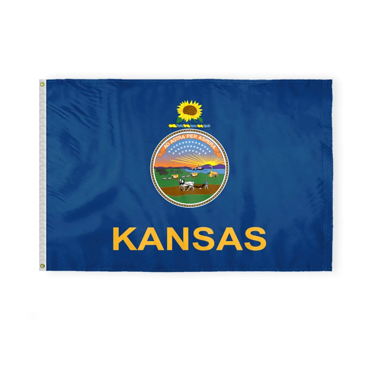 12"x18" to 8'x12' Kansas Nylon Flags 3