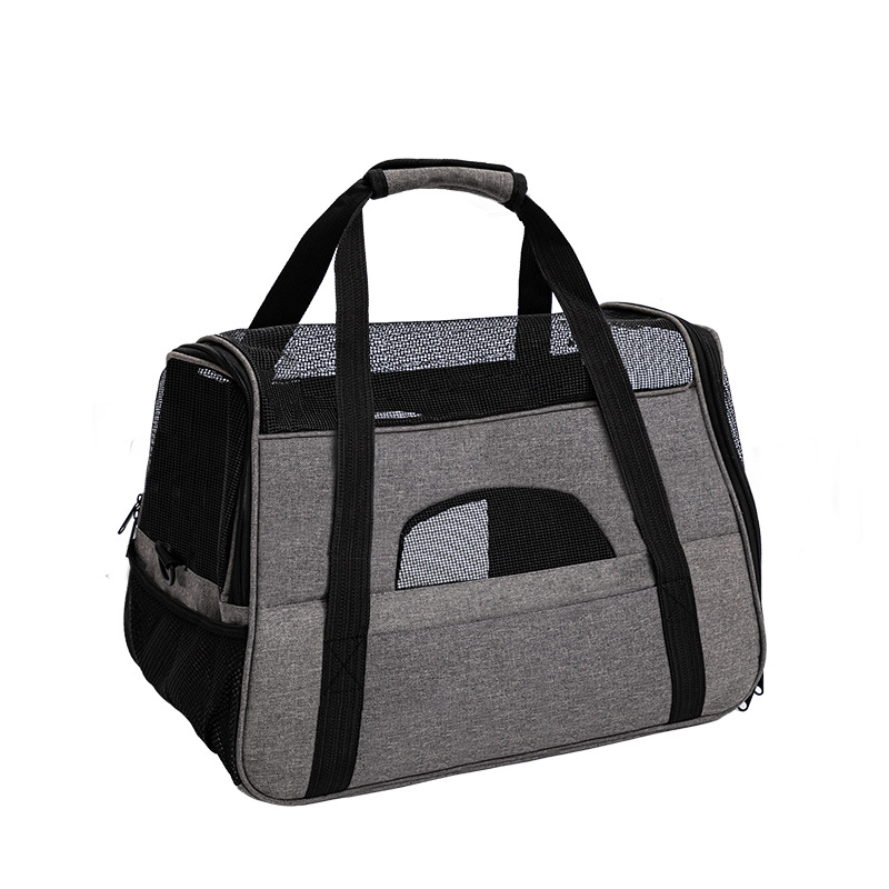 Pet Travel Carrier 2