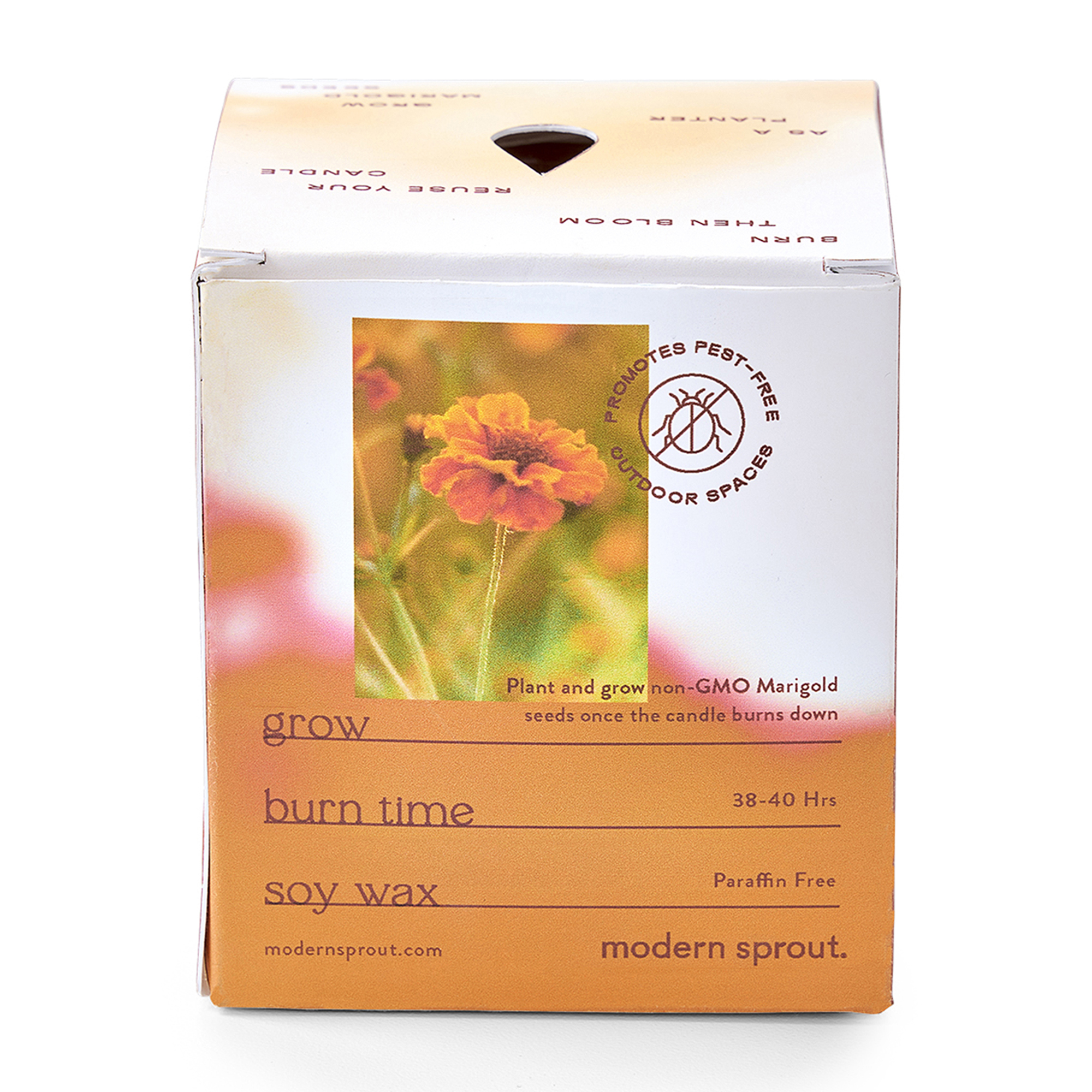 Modern Sprout® Garden Vibes Candle/Planter 55