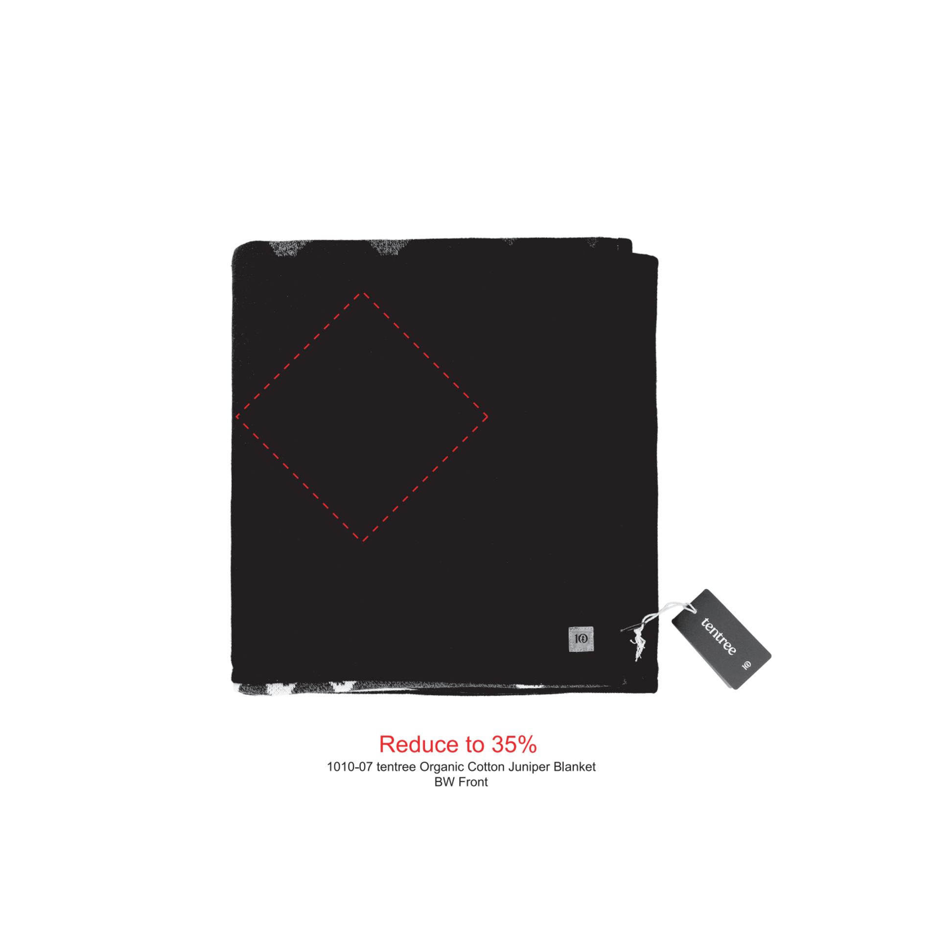 tentree Organic Cotton Juniper Blanket 53