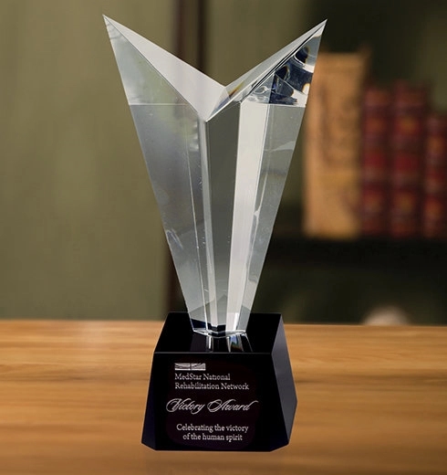 Victory Award 3