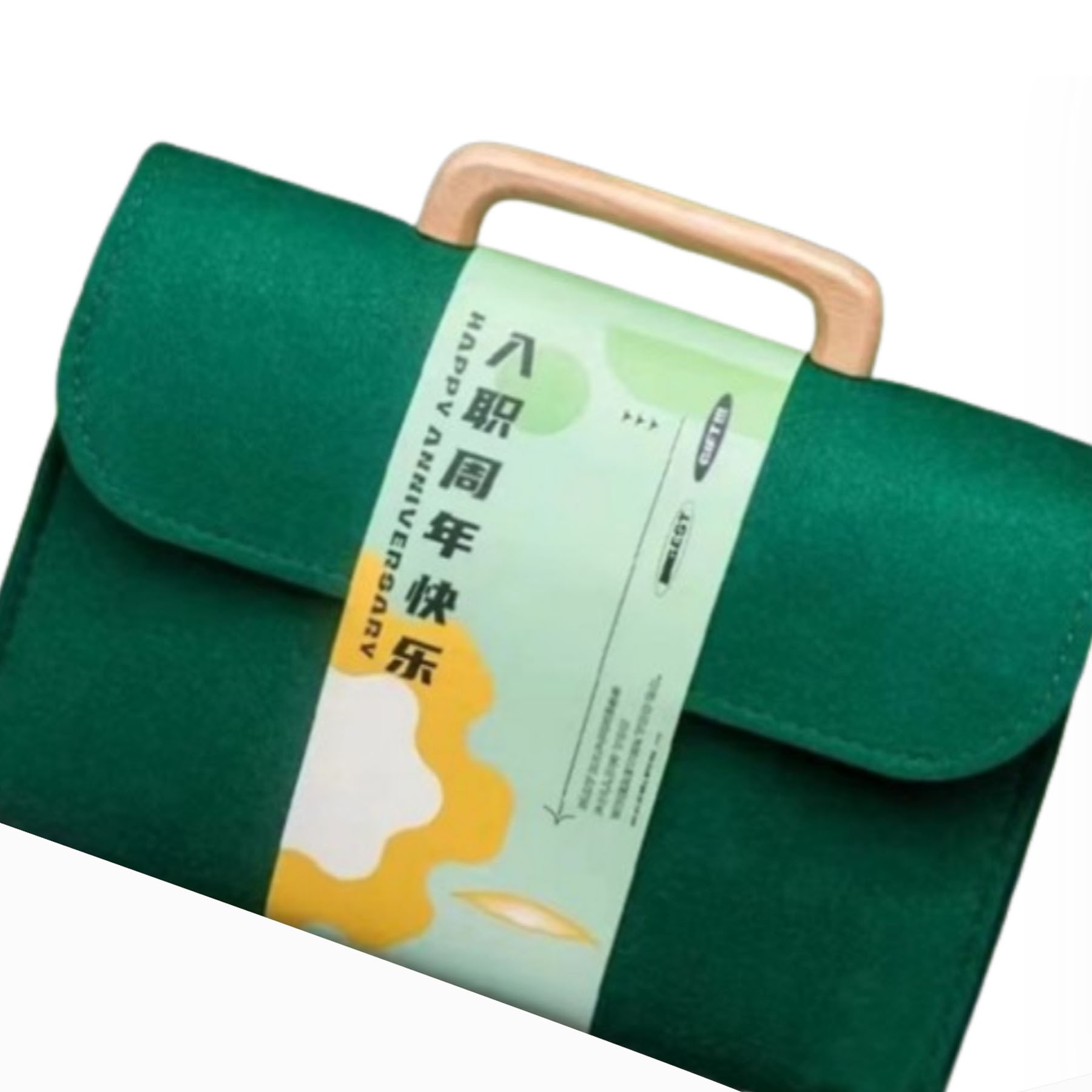 Hand Bag 5