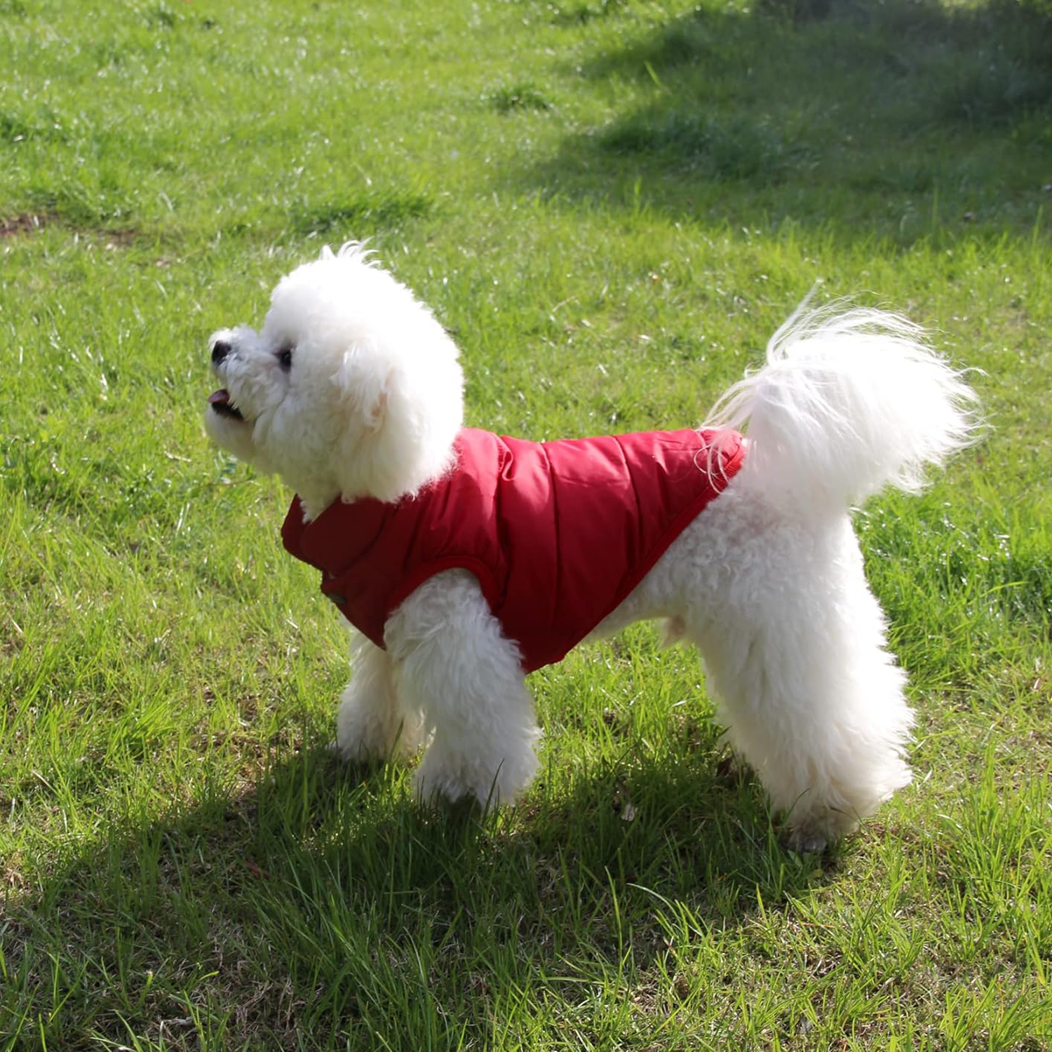 Pet Vest 6