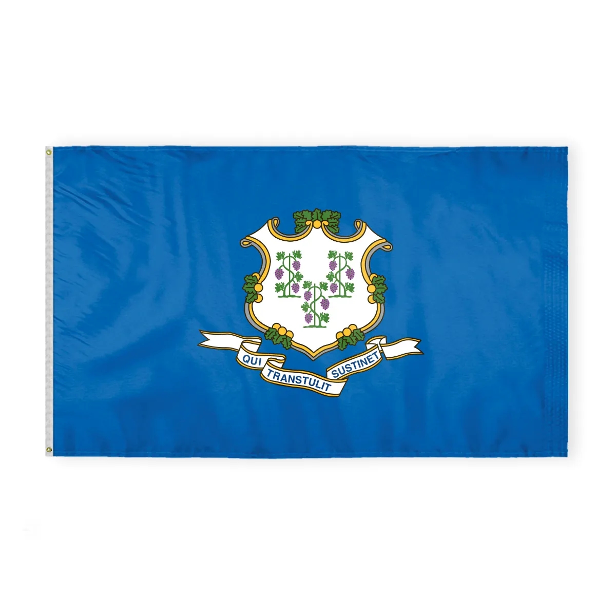 12"x18" to  8'x12'  Connecticut Nylon Flags 6