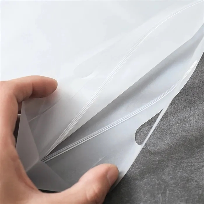 Frosted Zip Lock Handle Bags 5