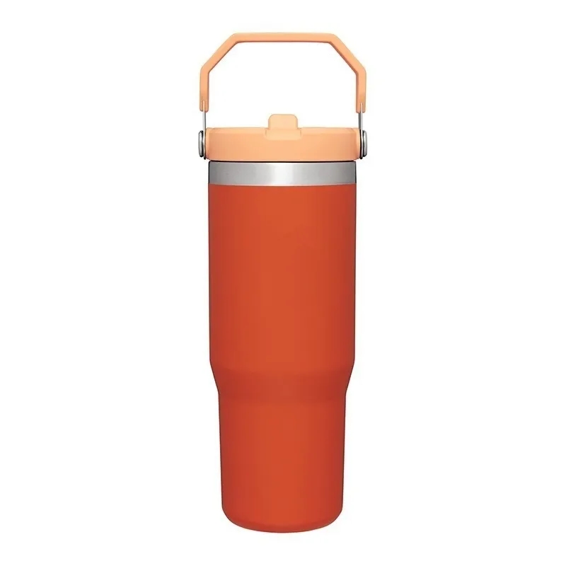 20oz Stainless Steel Tumbler Cup with Straw Leak Resistant 20