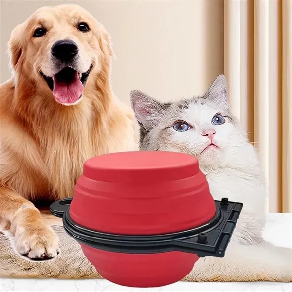 Collapsible Dog Dual Bowls with Carabiner 1