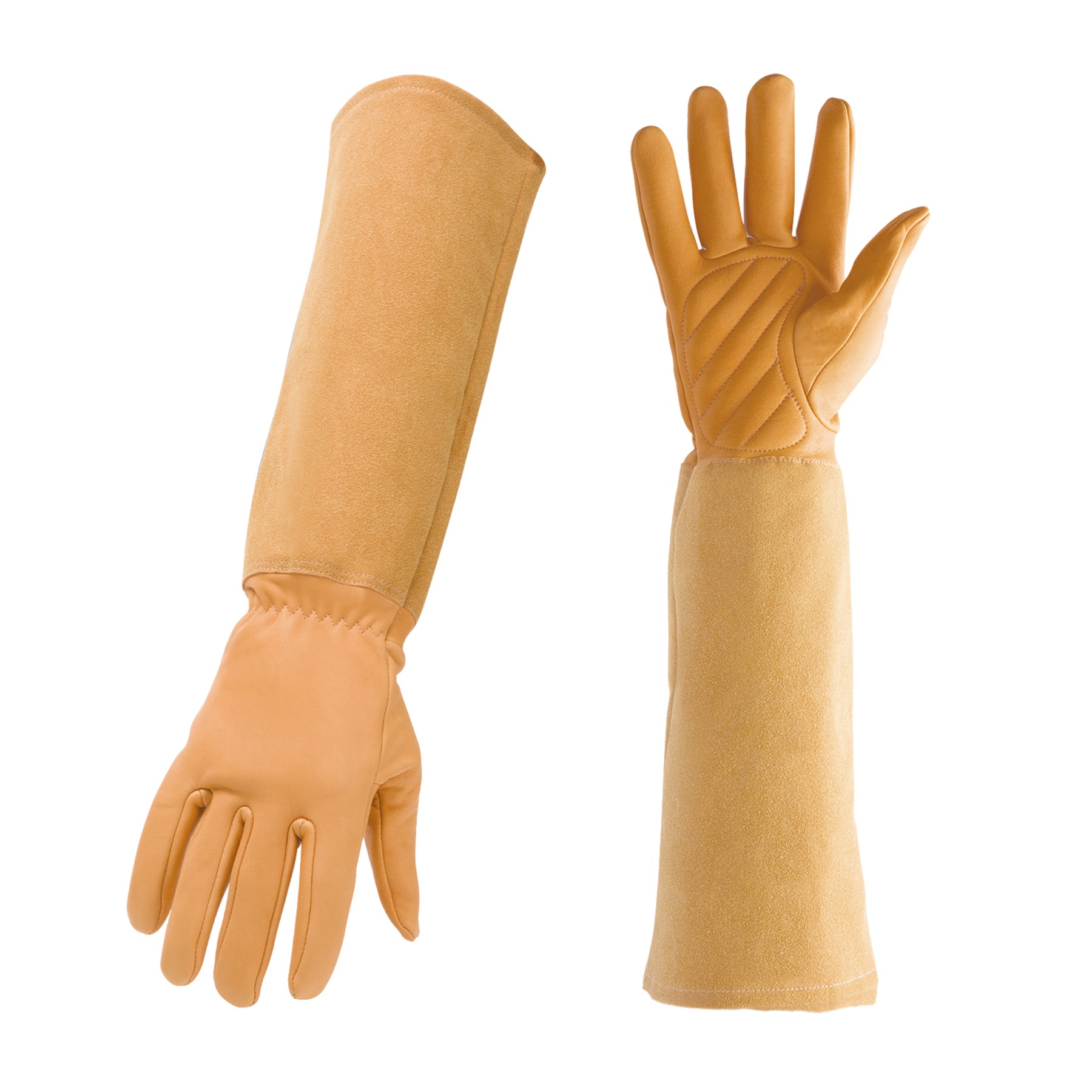 Thorn Proof Gardening Gloves 1