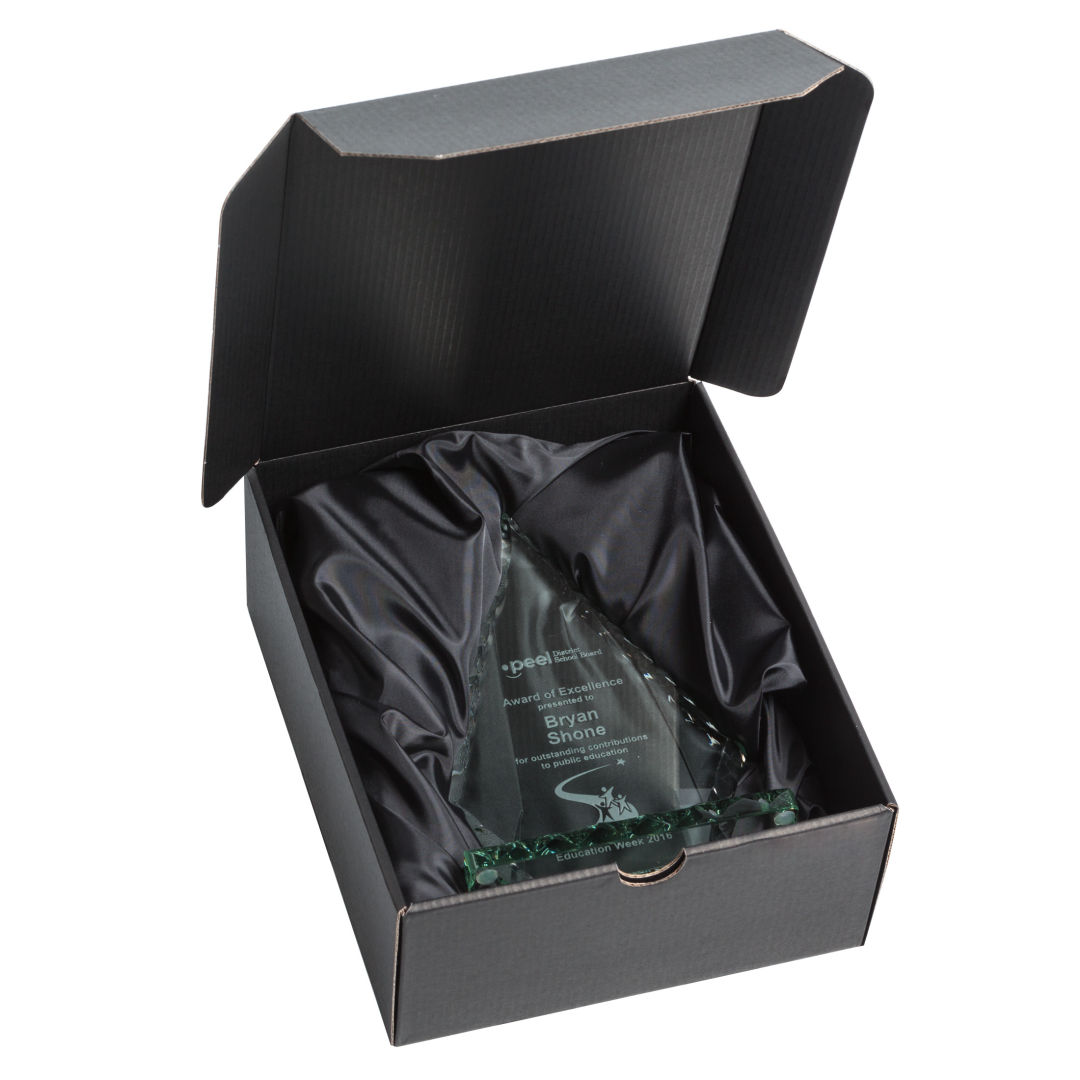 Conquest Award 3