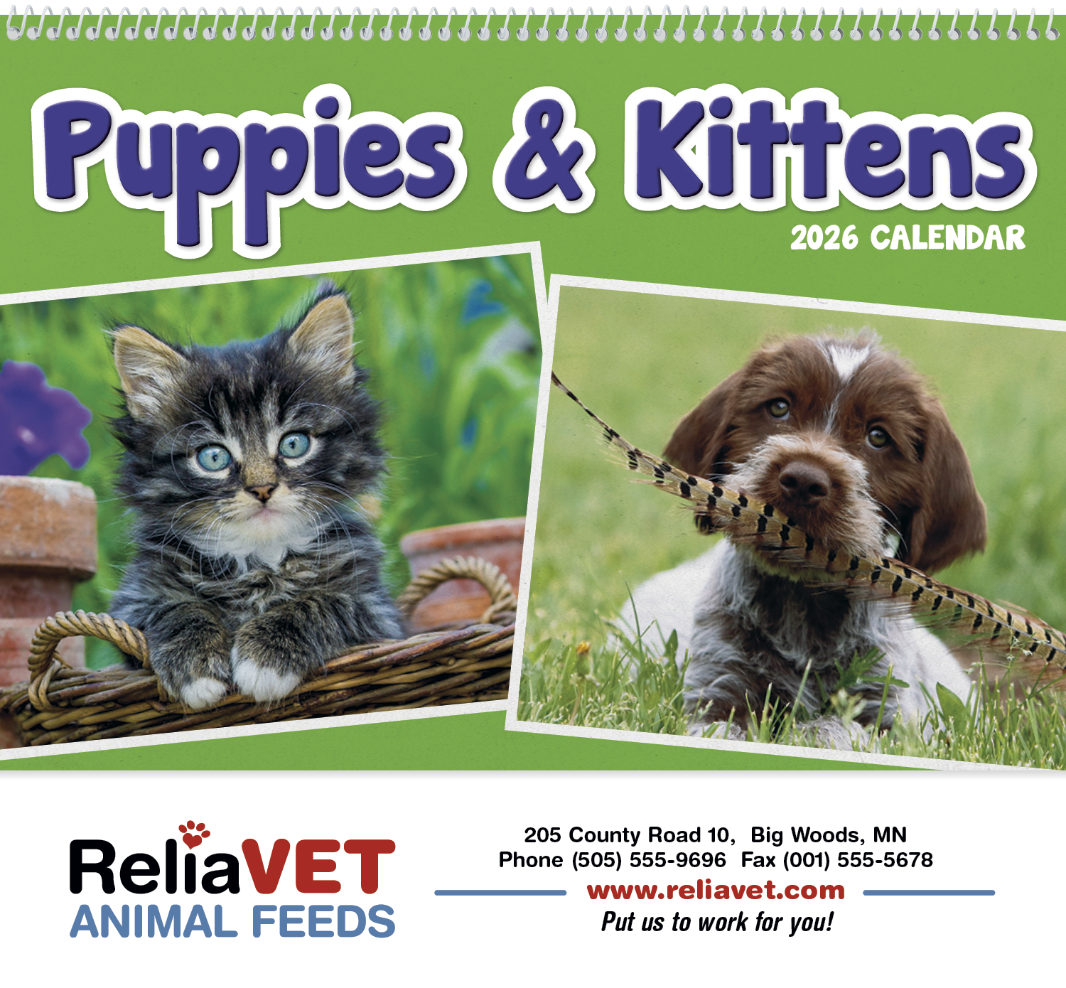 Triumph® Calendars Puppies & Kittens Pocket Calendar 43