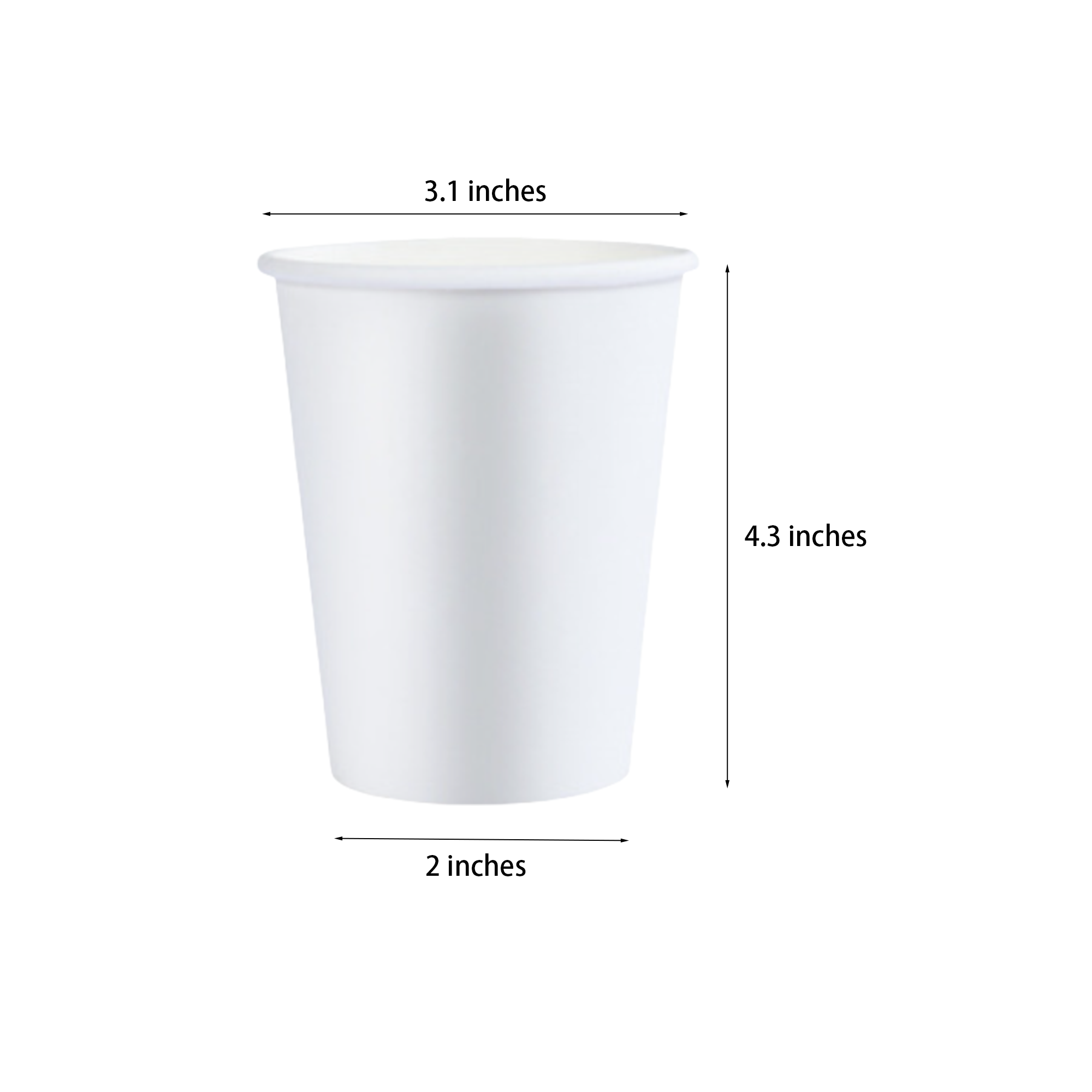 12oz Coffee Cup MOQ1000 3