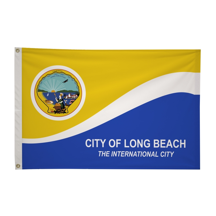 2' x 3' City Flags 4