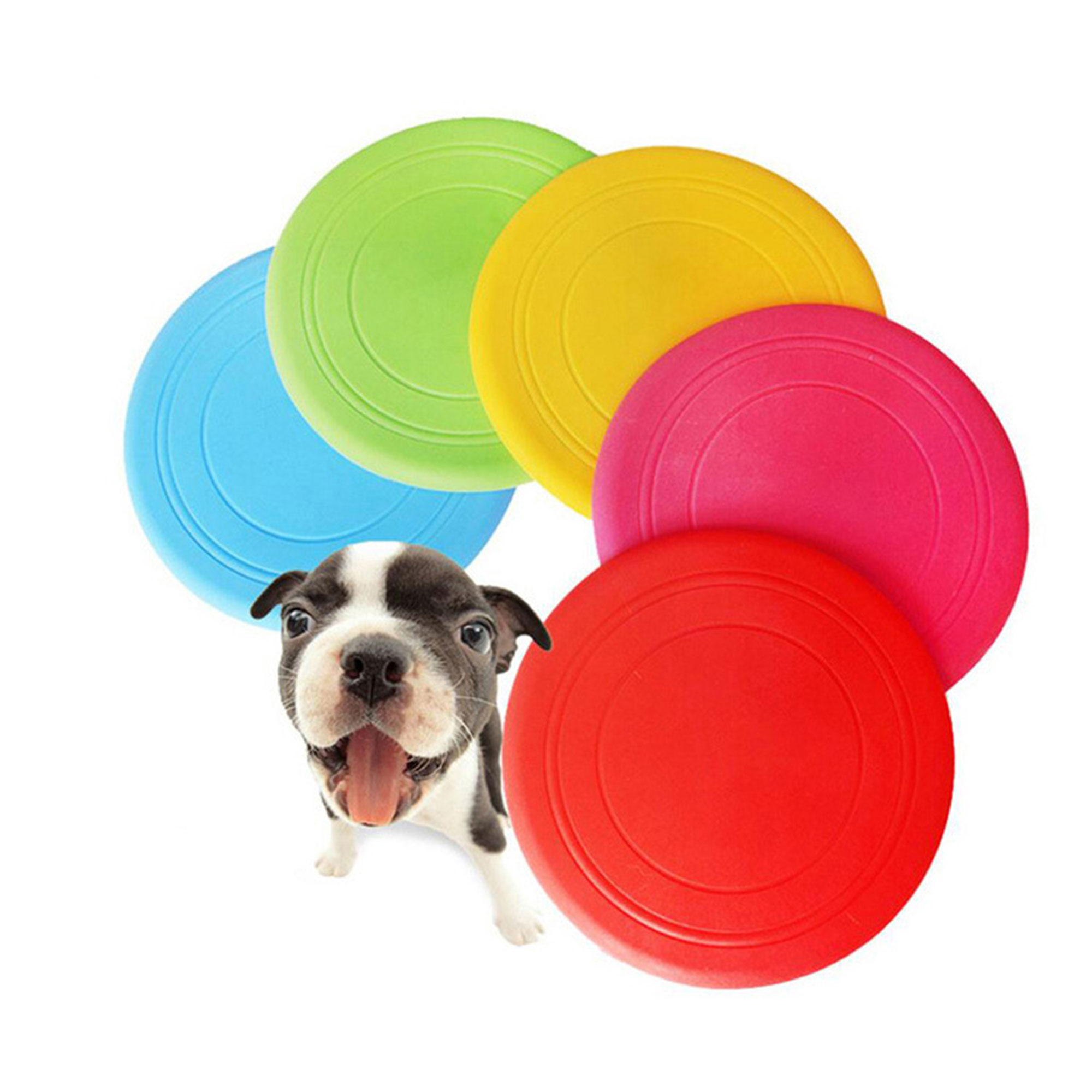 Dog Flying Silicone Disc 1