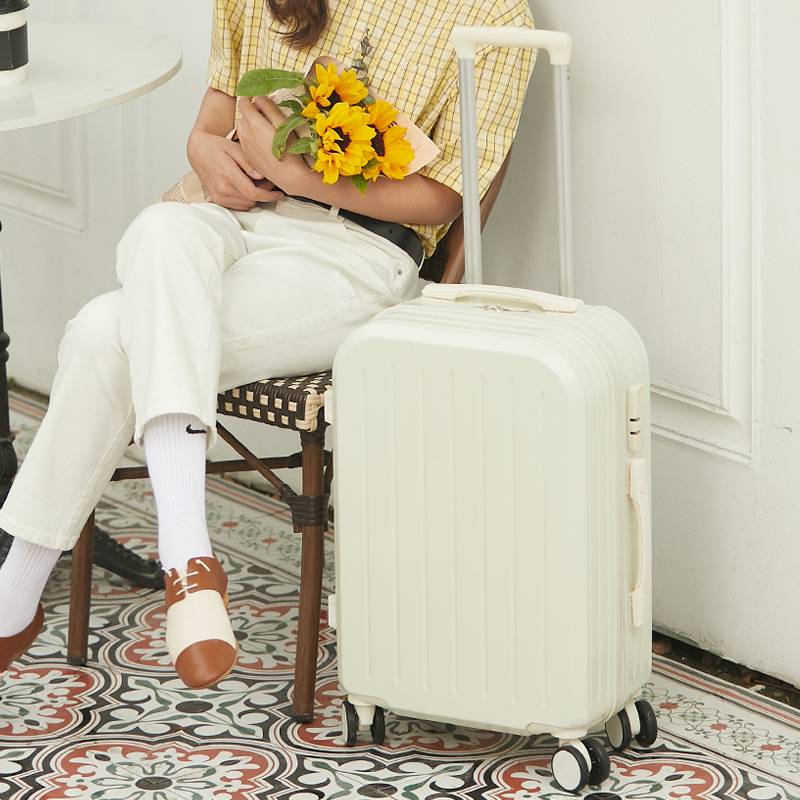 20" Abs+Pc Carry On Luggage With Lock 2