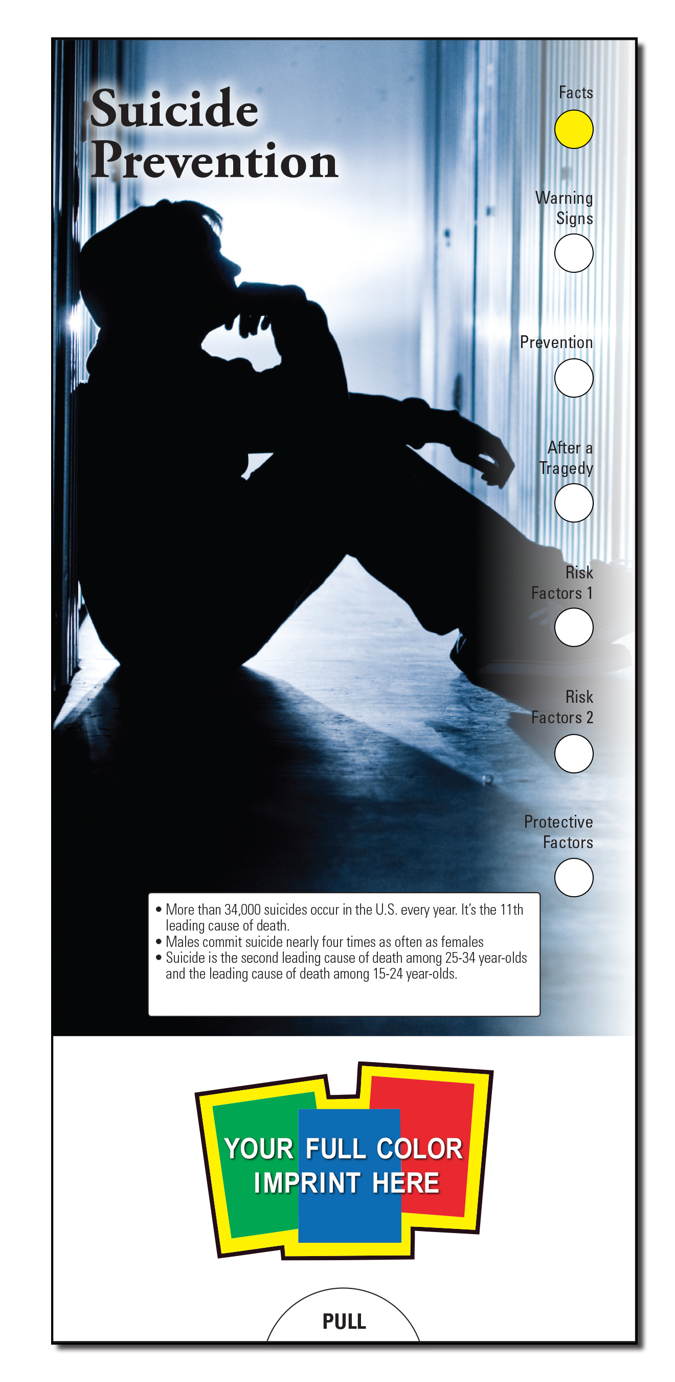 SLIDE CHART - Suicide Prevention Slide Chart 2