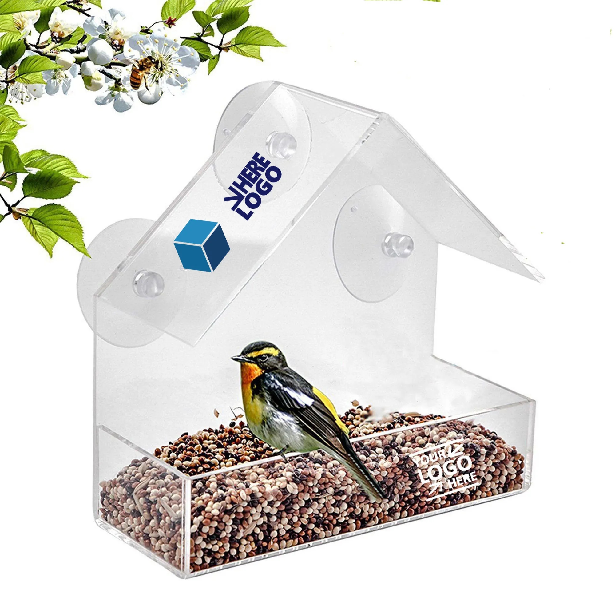 Clear Window Bird Feeder With Strong Suction Cup 4