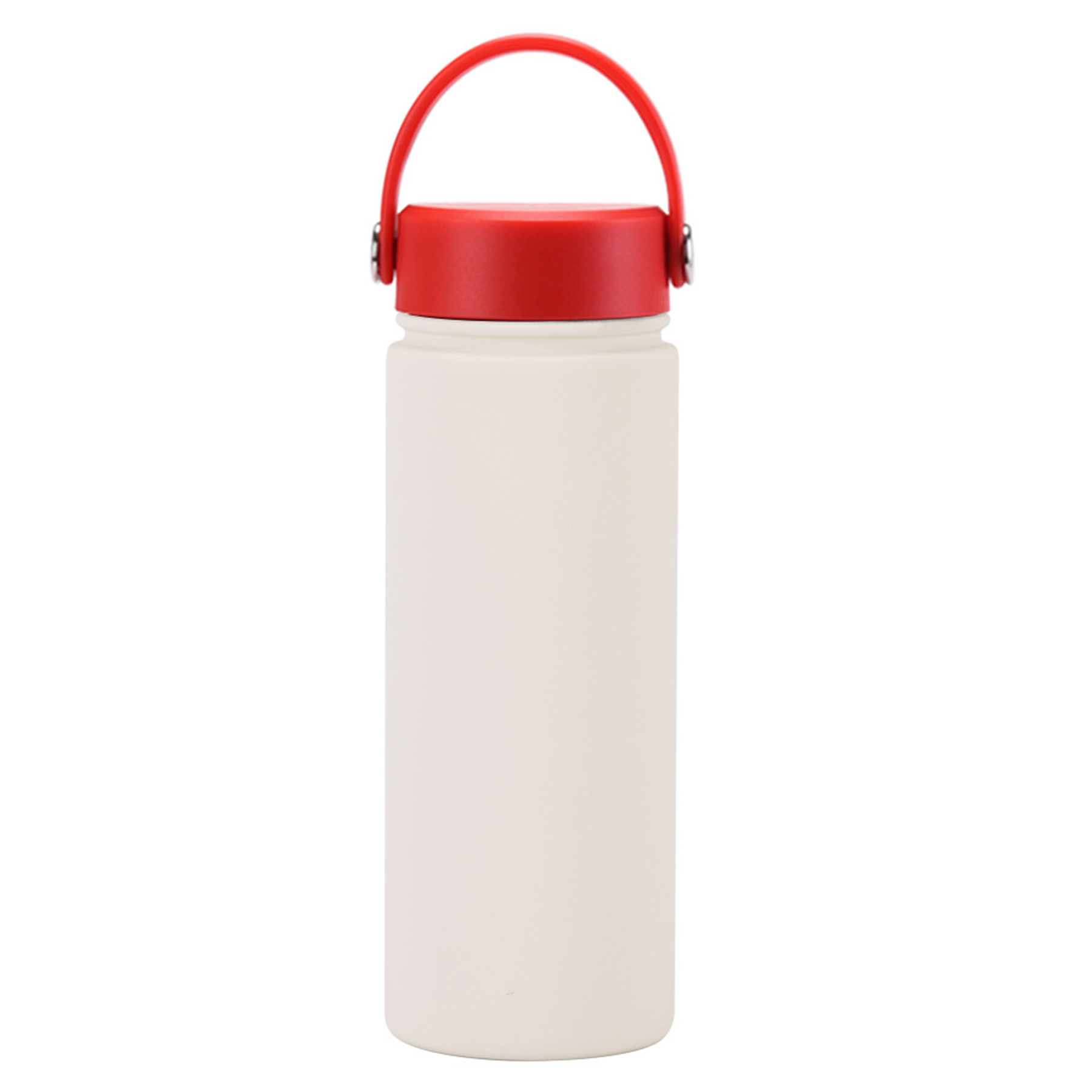Stainless Steel Travel handled Water Bottle 16