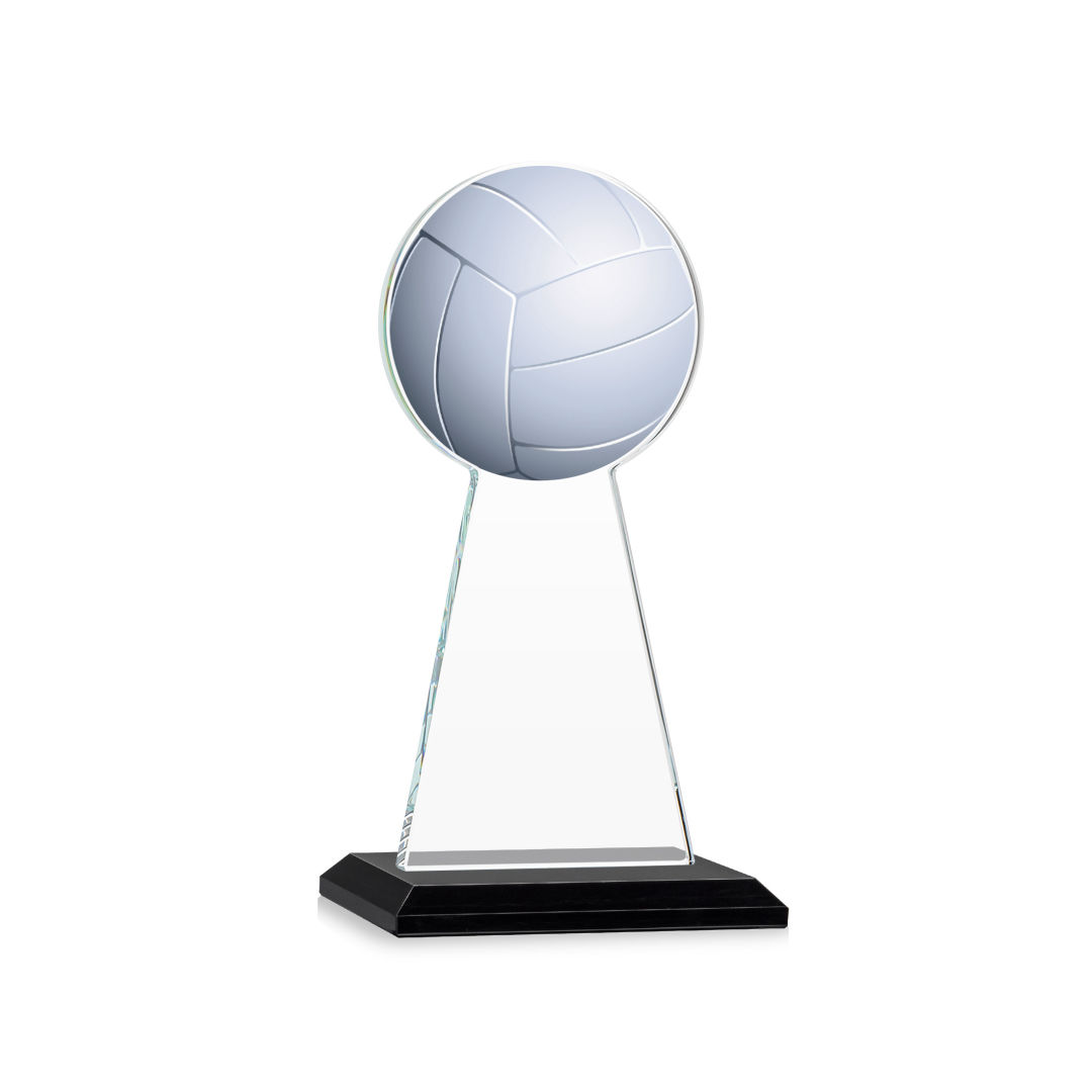 Edenwood Volleyball VividPrint™ Award - Black 6