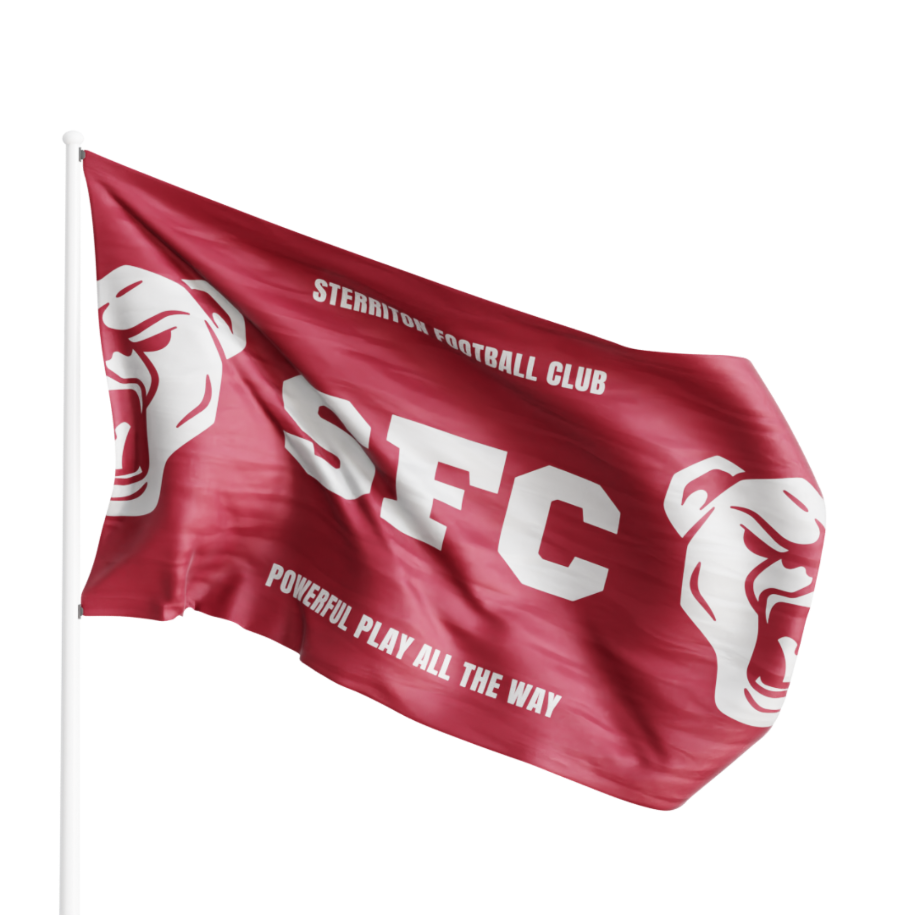 Large Flag 3' x 5' Full Color (Small Quantity)