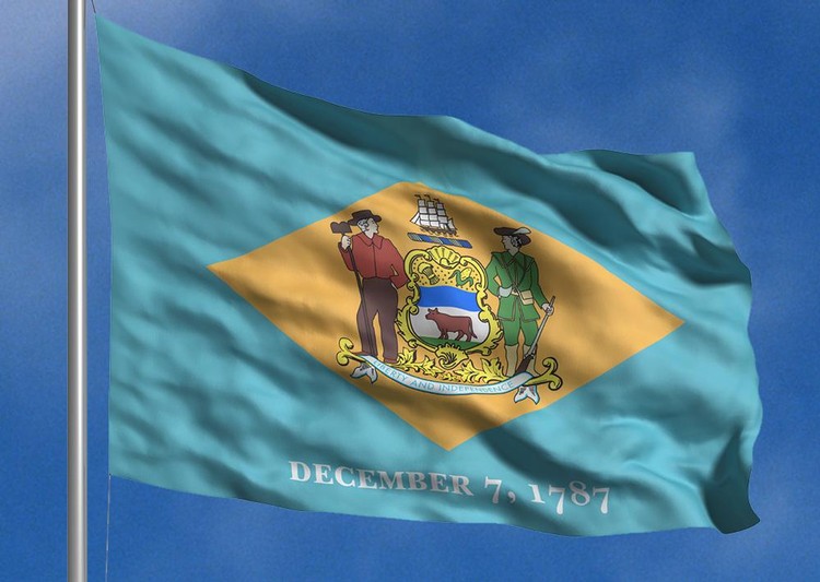 Delaware State Flag - 2' x 3' - Nylon 1
