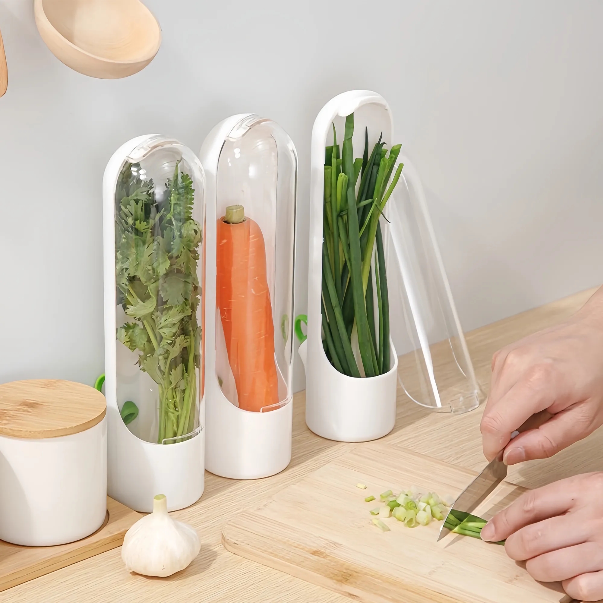 Vegetable Fresh-Keeper Container 2