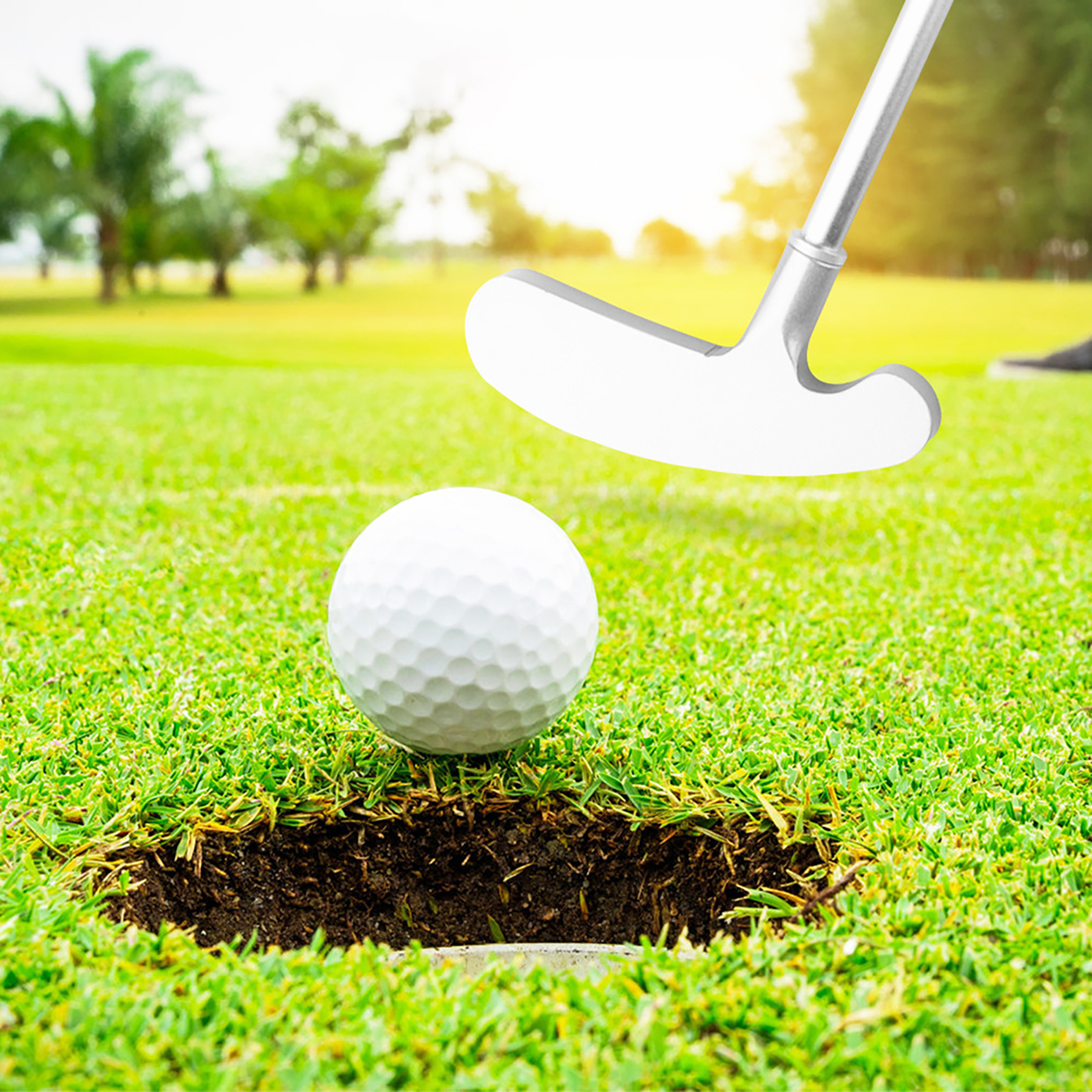 Dual-Sided Golf Putters 3