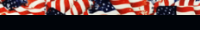 Americana Adult Pullover Hoodie 10