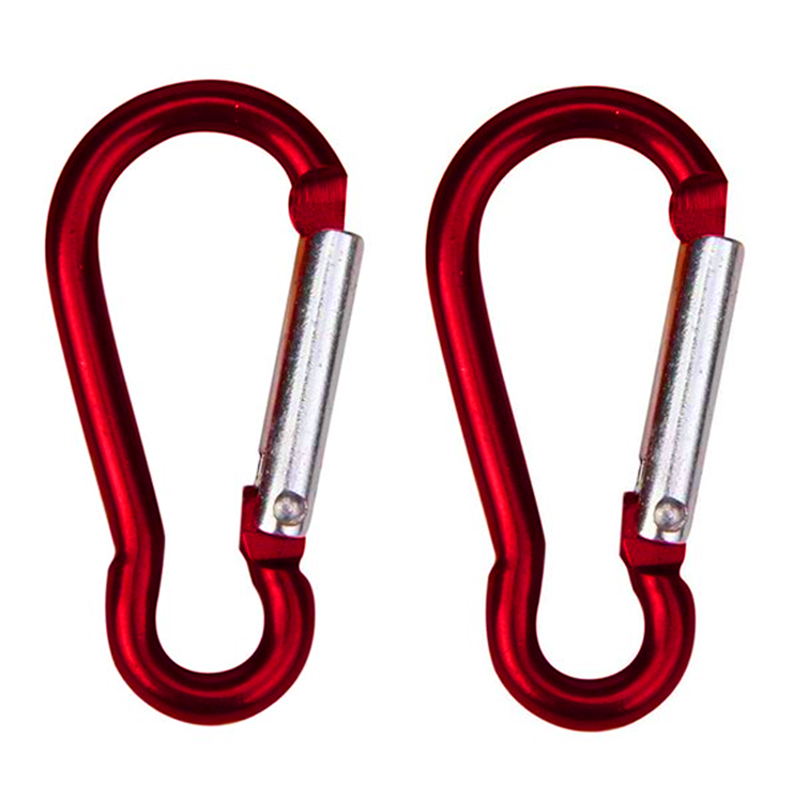 Refined Carabiner Clip Keychain 12