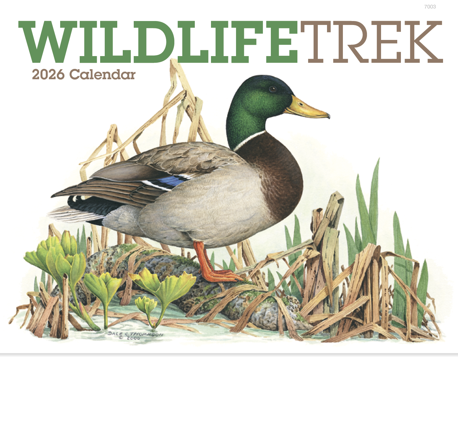 Good Value™ Wildlife Trek - Stapled Calendar 32