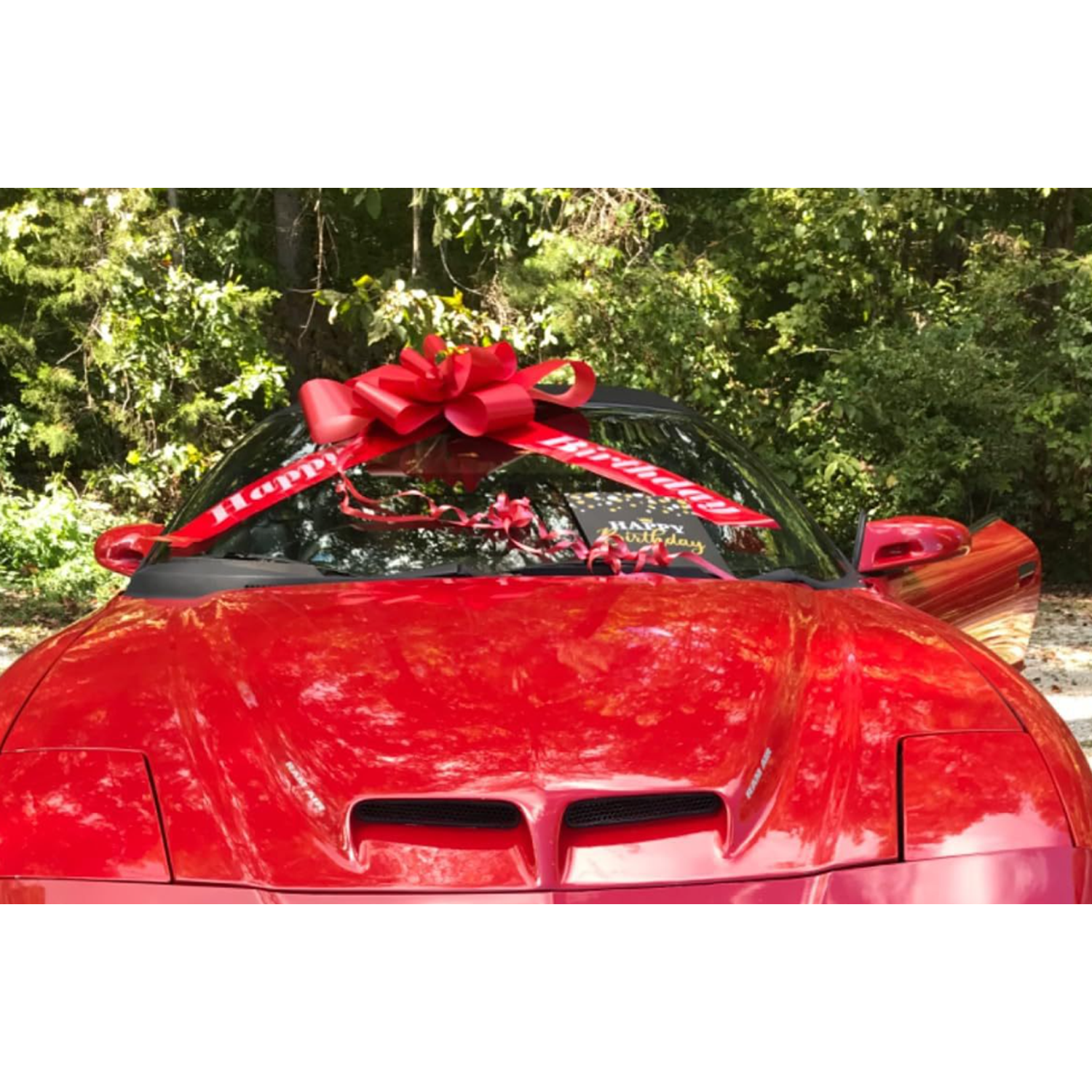 30" Jum-Bows Great Gift Polypropylene Giant Car Bow 6