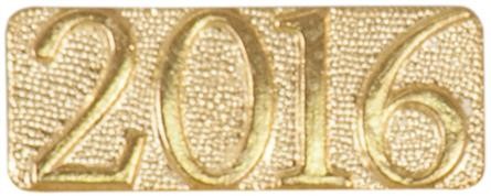 2016 Metal Chenille Letter Insignia Pin 2