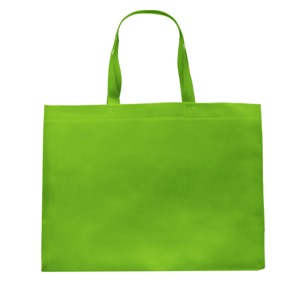 Pegasus Delhi Jumbo Size Tote Bag 18