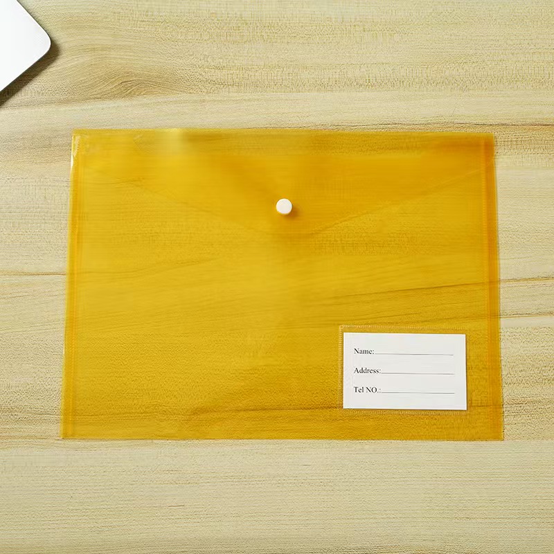 Transparent PP Material Folder 2