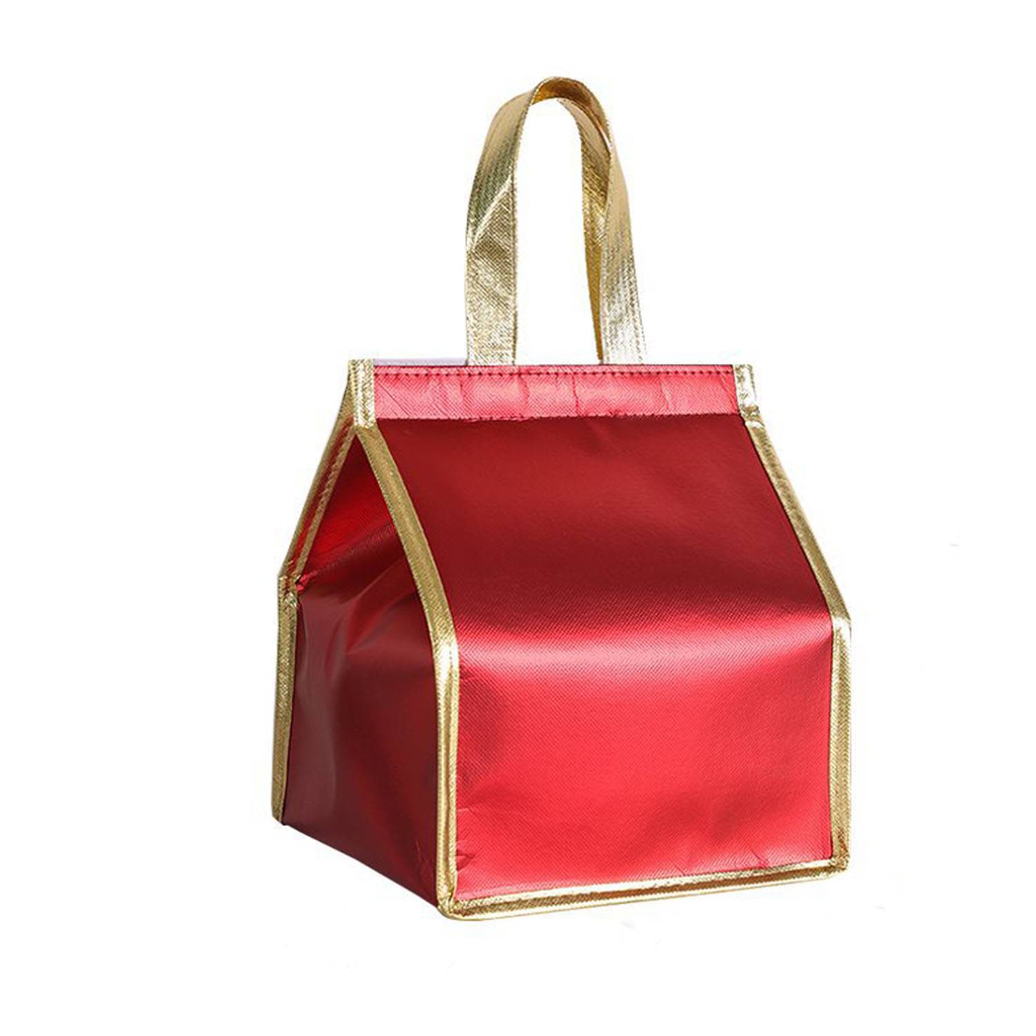Aluminum Foil Insulation Bag 9