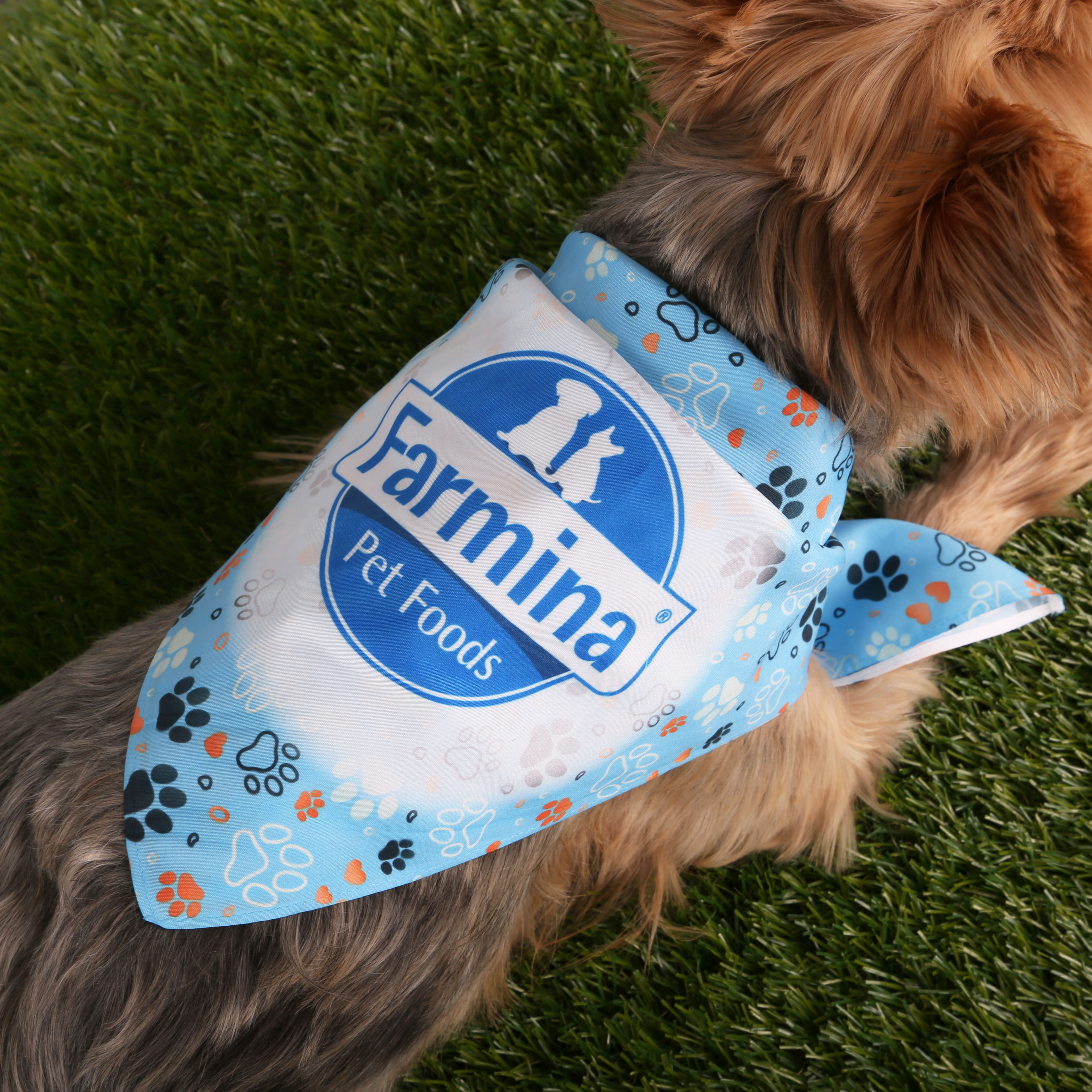 Sublimated Bandana - RPET
