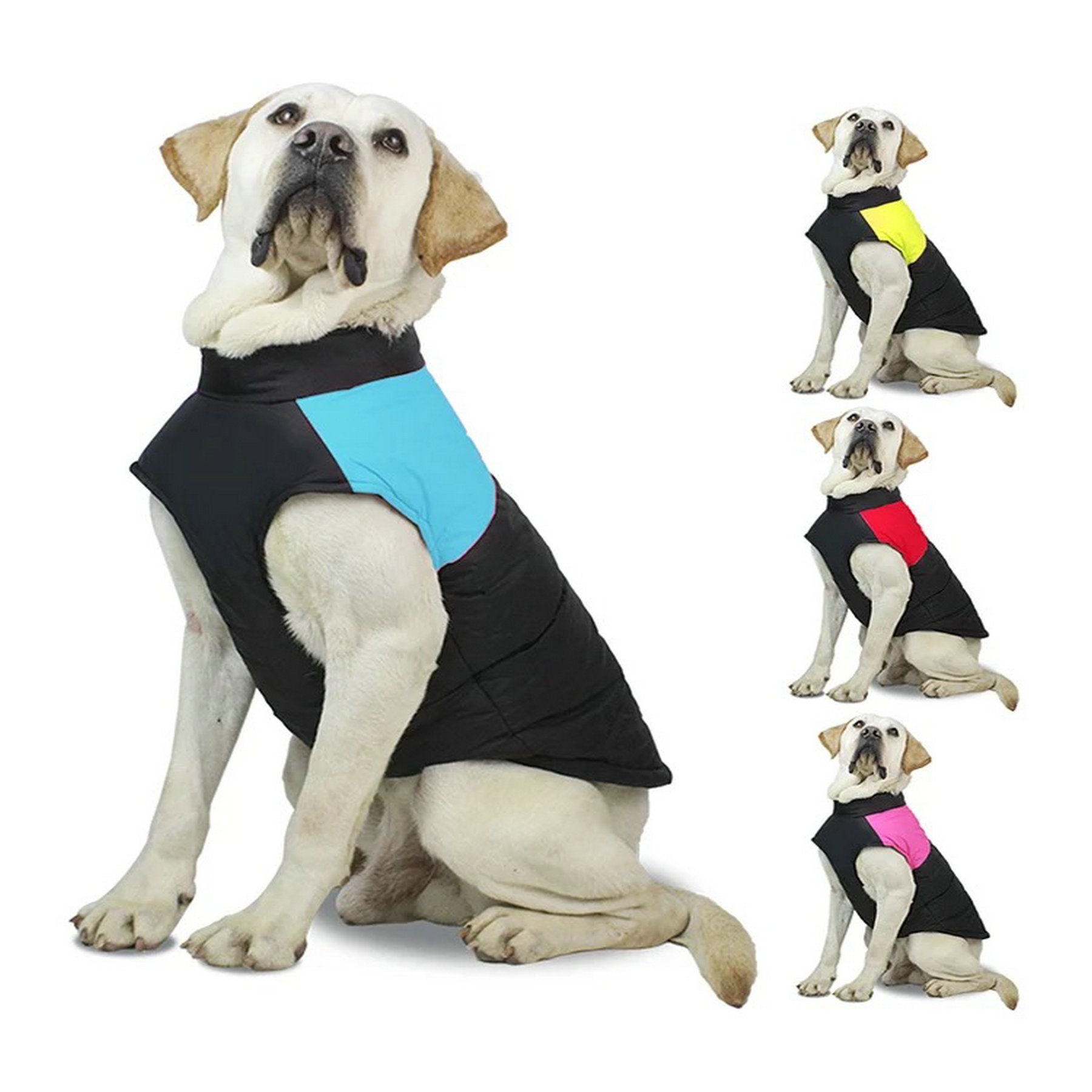 Waterproof Dog Winter Cotton Coat 1