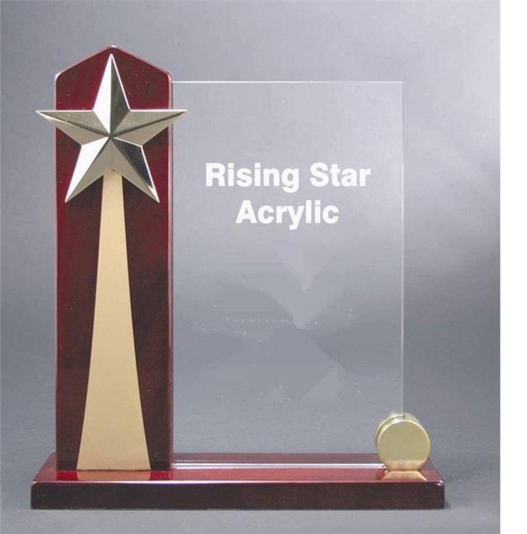 9" x 9 1/2" Rising Star Acrylic Award 2