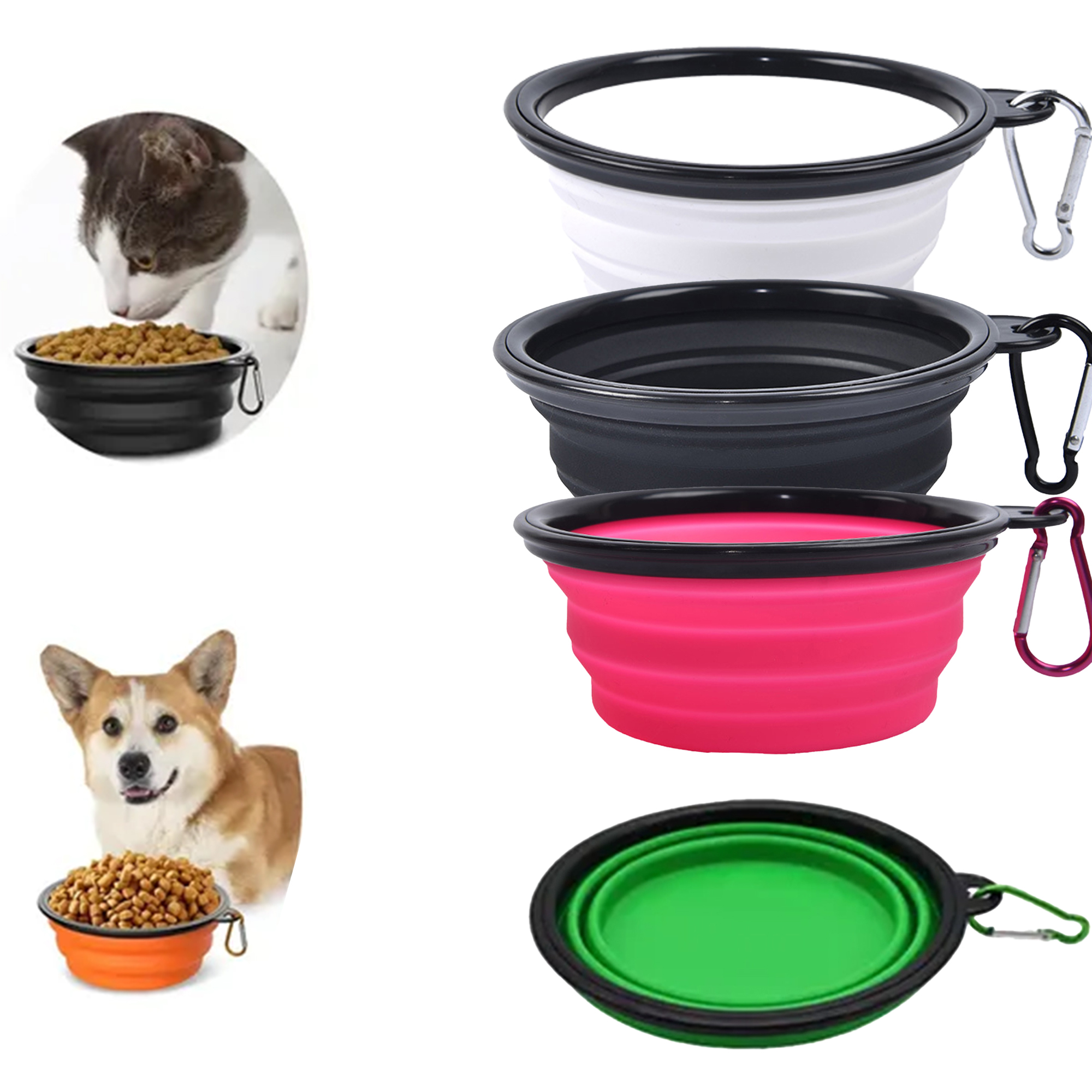 Collapsible Dog Bowl 2