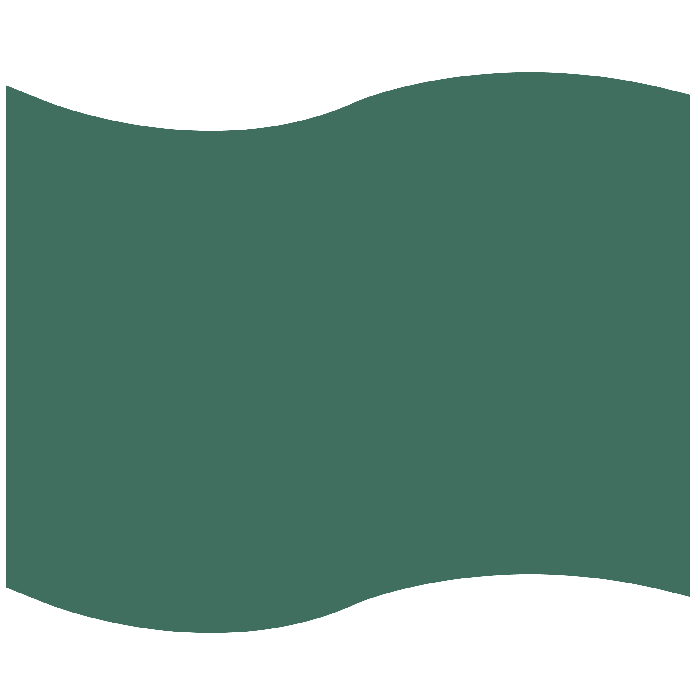 Foam Flag Mitt 13