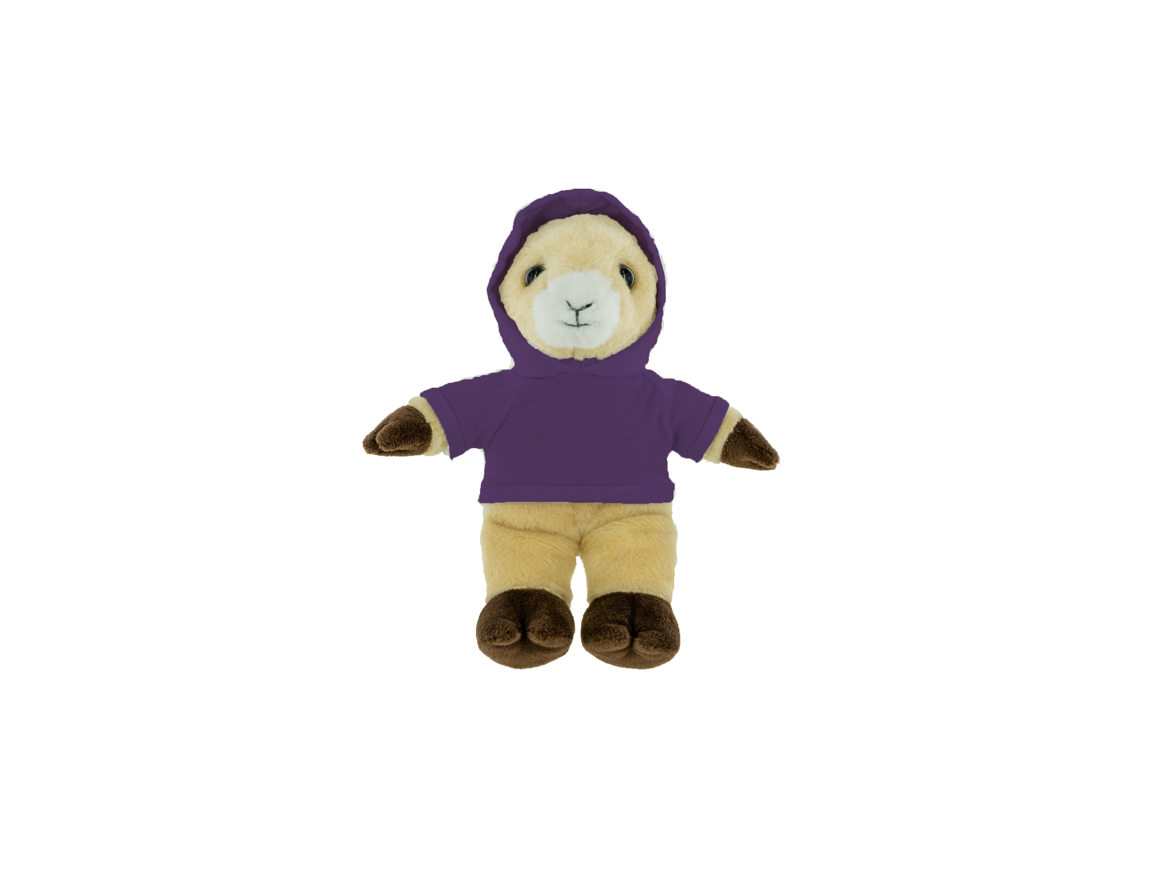 Plush Ram with Hoodie 15