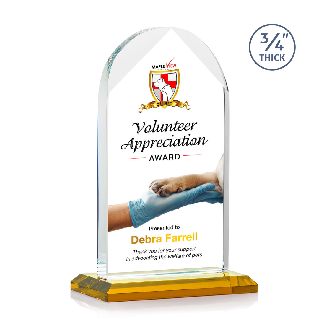 Blake VividPrint™ Award - Amber 4