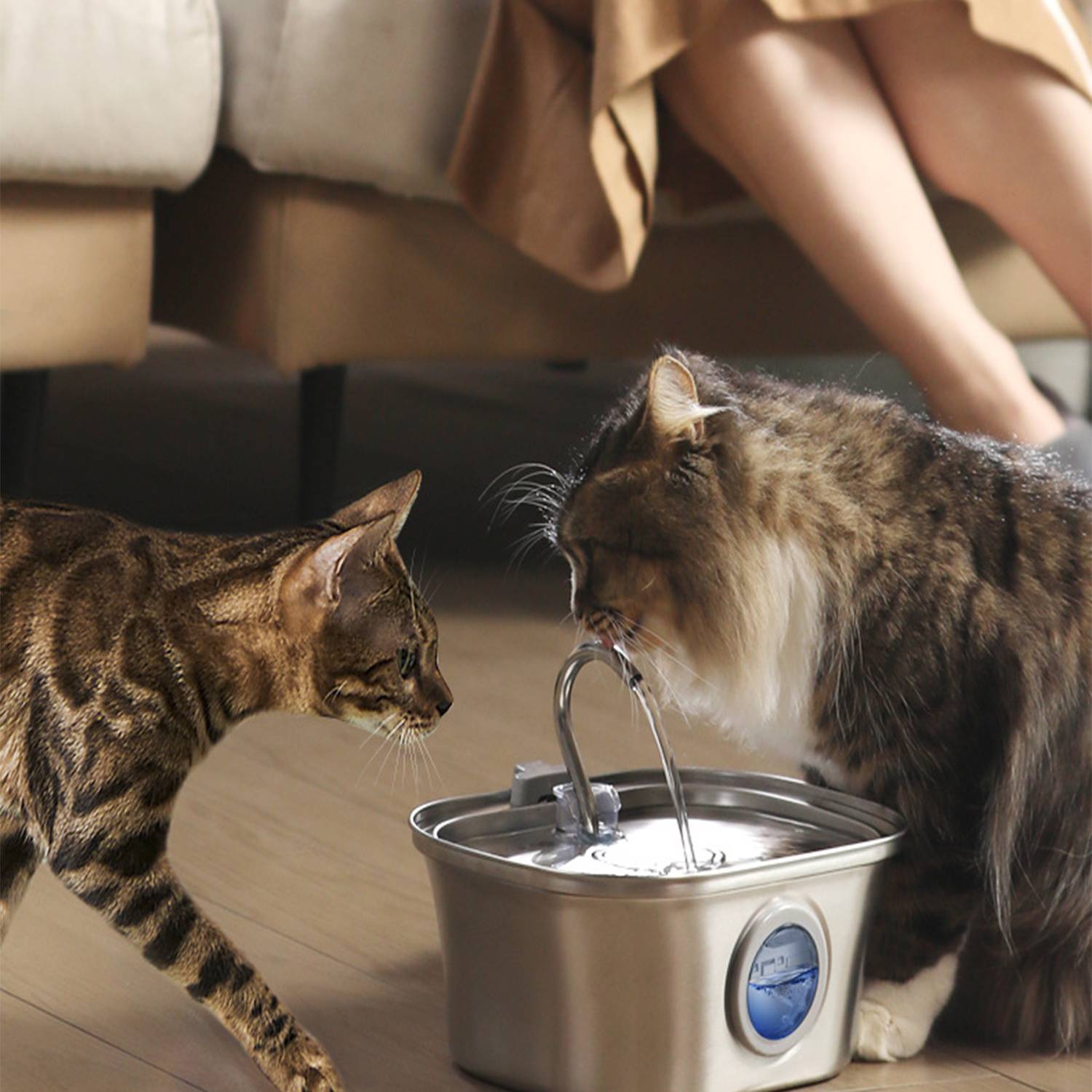Stainless Steel Cat Water Fountain with Levels Window 3