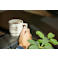 Paco 12oz Ceramic Mug 100