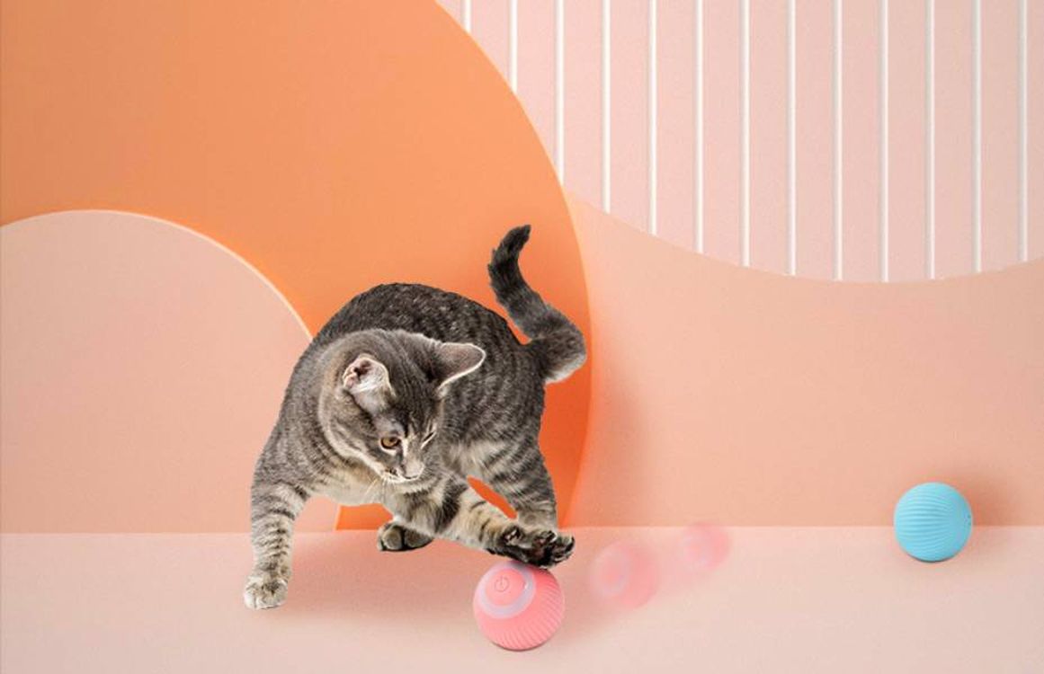 Interactive Cat Ball Toy 2