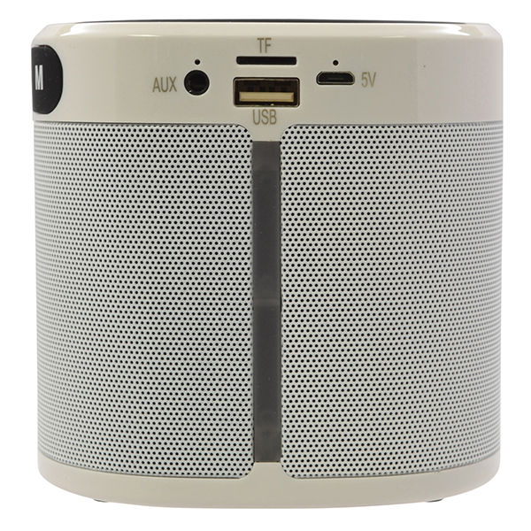 EchoPower RockStar Desktop Bluetooth 5.0 Speaker – FM Radio, Wireless Charger & 2200mAh Power 5