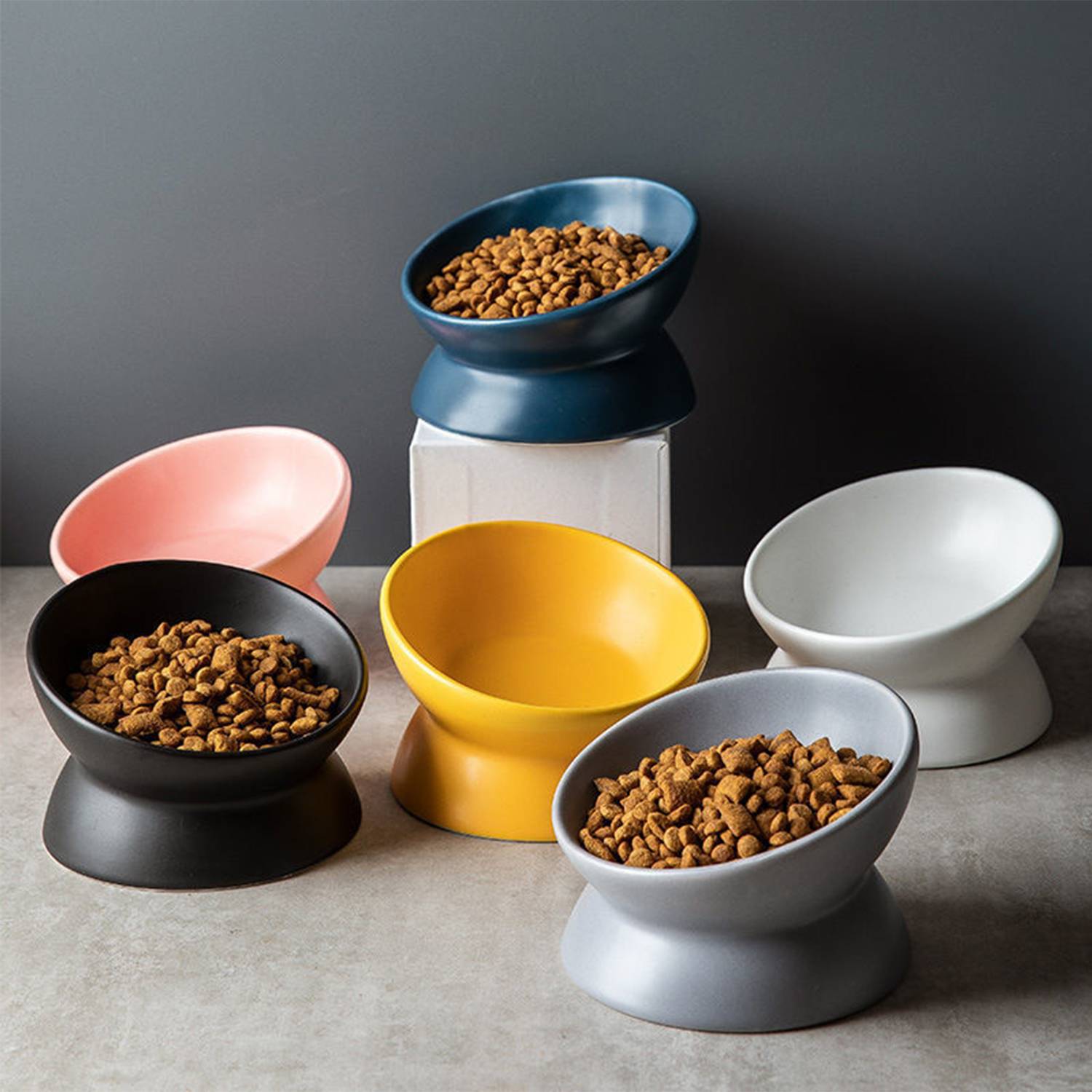 Raised Ceramic Pet Food Bowl 2