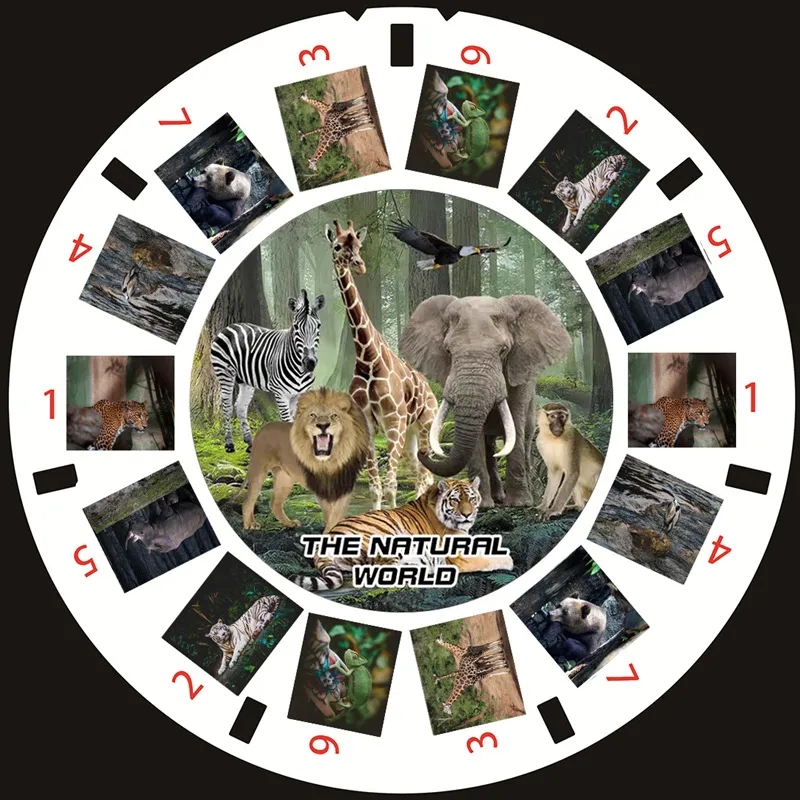 3D Viewer with Slides 9