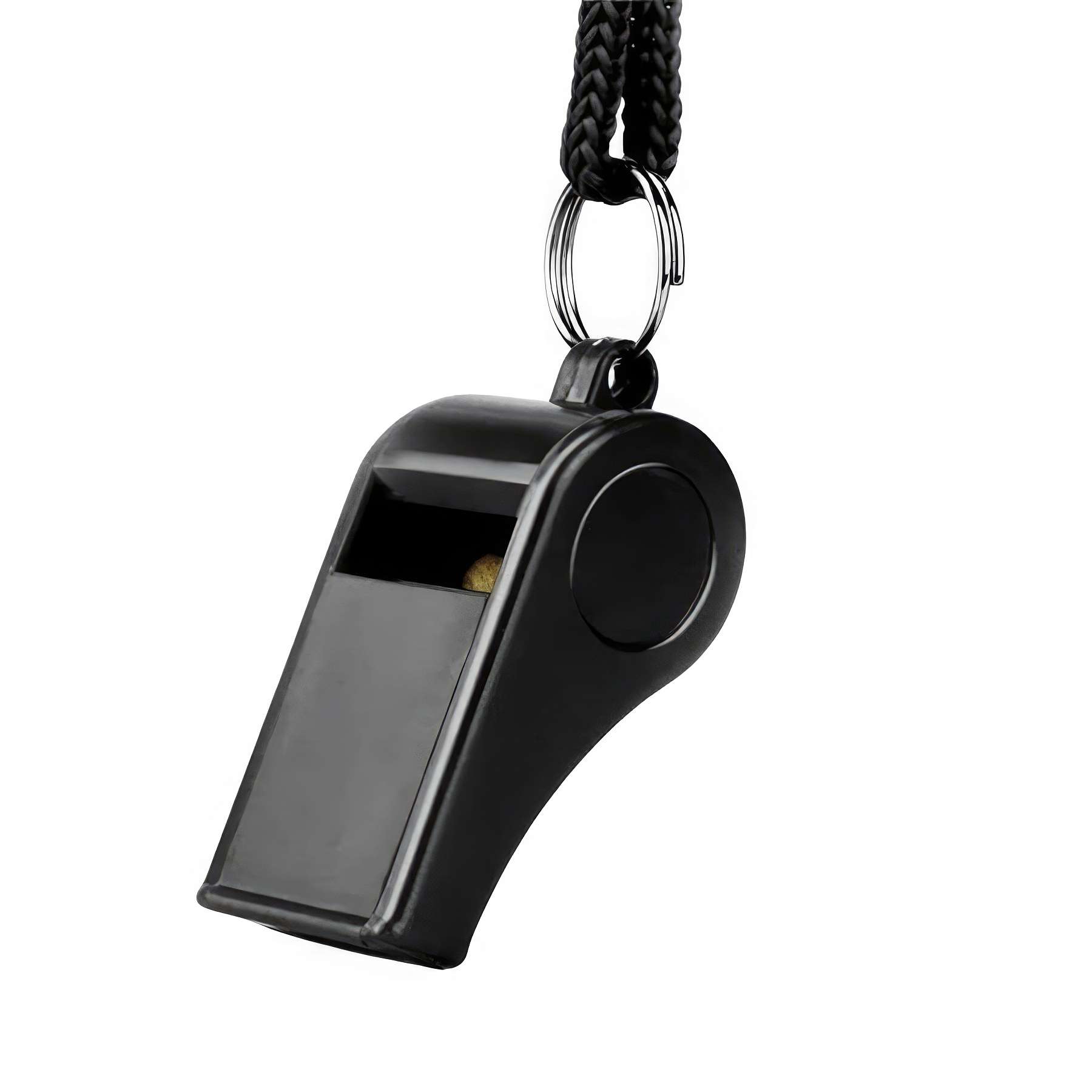 Plastic Whistle with Lanyard 2