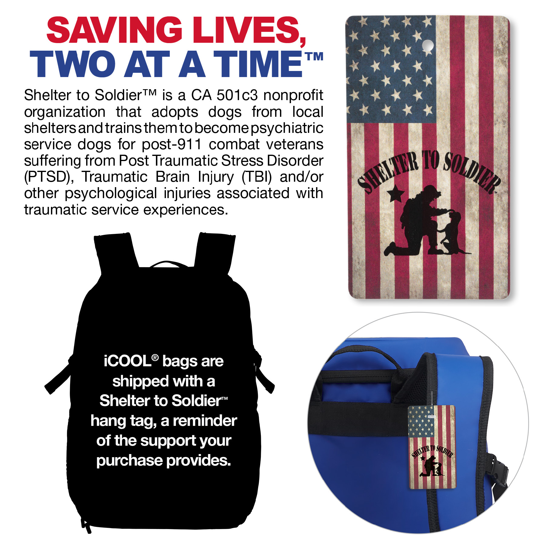 iCOOL® Vail 20-Can Cooler Backpack 4